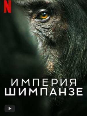 Постер сериала «Империя шимпанзе»